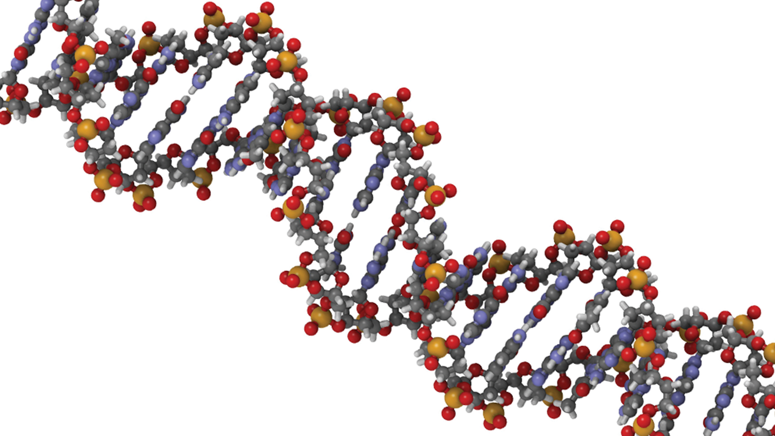 Genomic Analysis