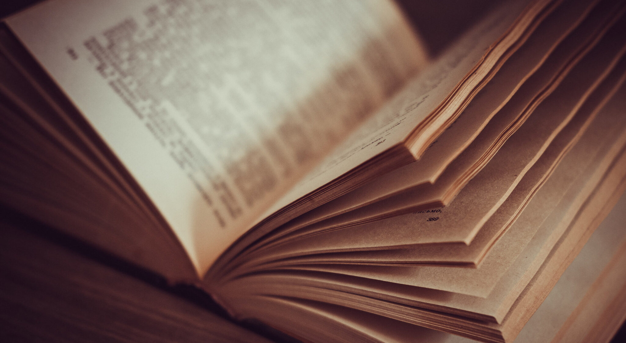 The Multifaceted World of Literary Analysis - Teleanalysis