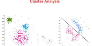 The Role of Cluster Analysis in Market Segmentation