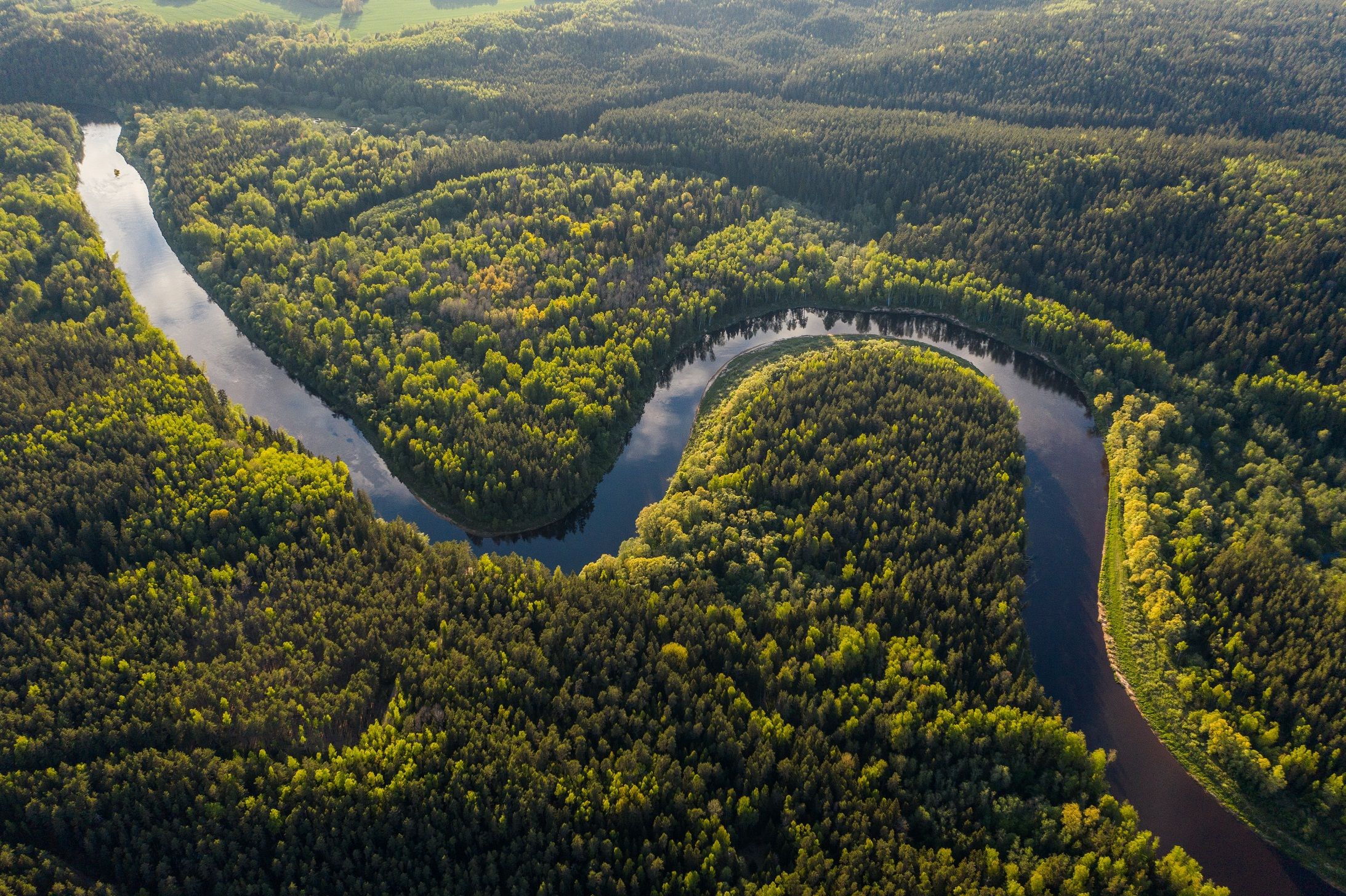 Sungai Amazon terpancar melalui hutan hujannya yang lebat dan airnya yang mengalir deras.