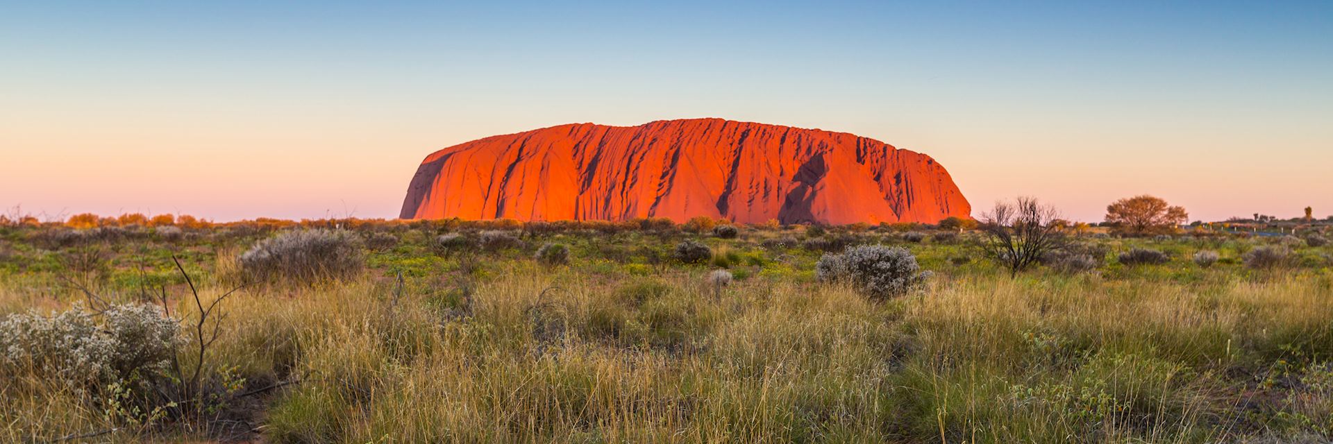 Uluru at sunrise, glowing with shades of red, orange, and purple against a clear sky.