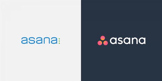 Asana Startup