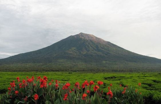 Gunung