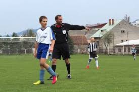 Game Referee