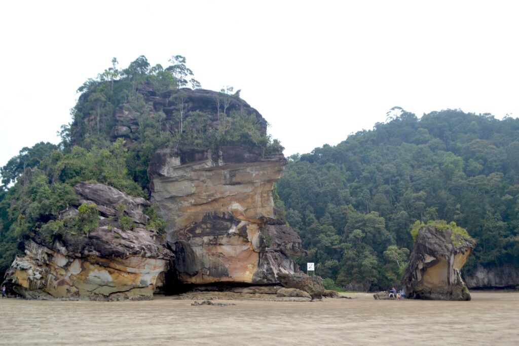 Sejarah dan Lokasi Taman Nasional Bako