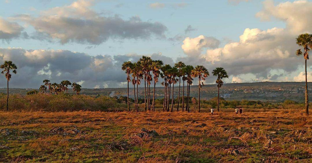 Keindahan Bukit Cinta Kupang: Panorama Laut dan Sunset yang Memukau