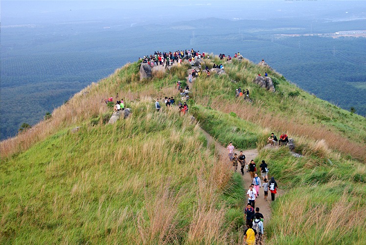Broga Hill